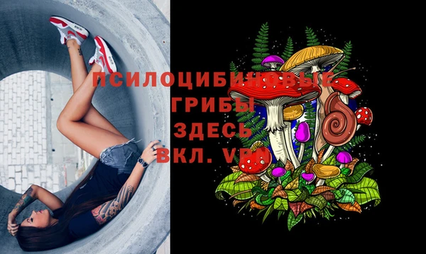 спиды Белокуриха
