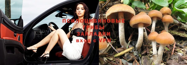 спиды Белокуриха